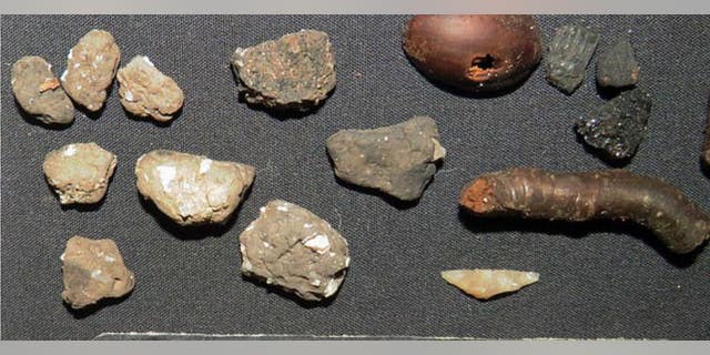 Rare pottery and tool fragments found at the site include(from left)portion of the Carinated bowl. On the right, from the same place, there are some old twigs and hazelnuts.