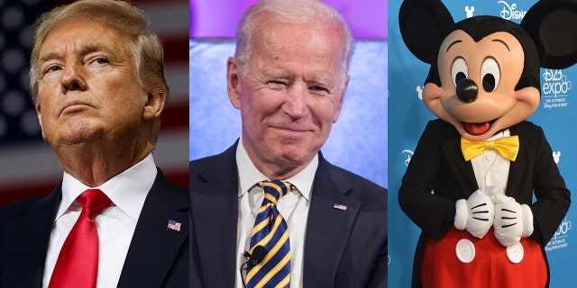 Joe Biden said Democrats “could run Mickey Mouse” against President Trump and have a chance.