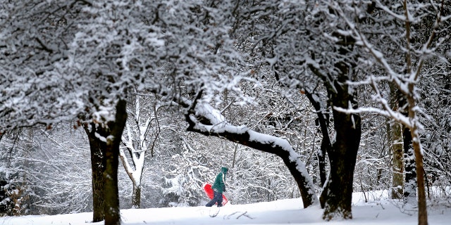 Denise Hendricks walks up a snow covered hill while sledding at Hafer Park following a winter storm in Edmond, Okla., Wednesday, Feb. 5, 2020.