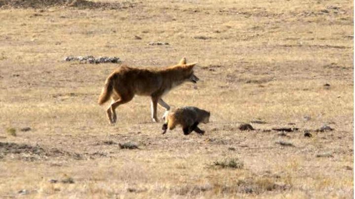 Fox News Flash top headlines for Feb. 5