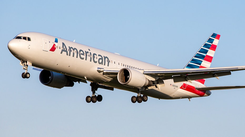 Man charged after allegedly attacking flight attendant on American Airlines flight: DOJ