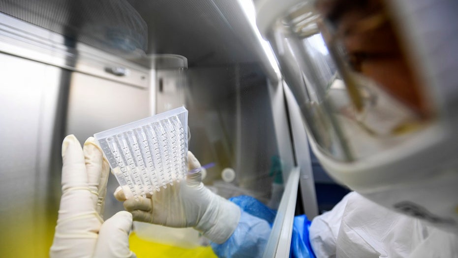 Fox News Flash top headlines for Feb. 8