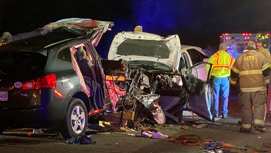 Georgia Crash On Interstate 95 Leaves 6 Dead, Including 3 Children ...