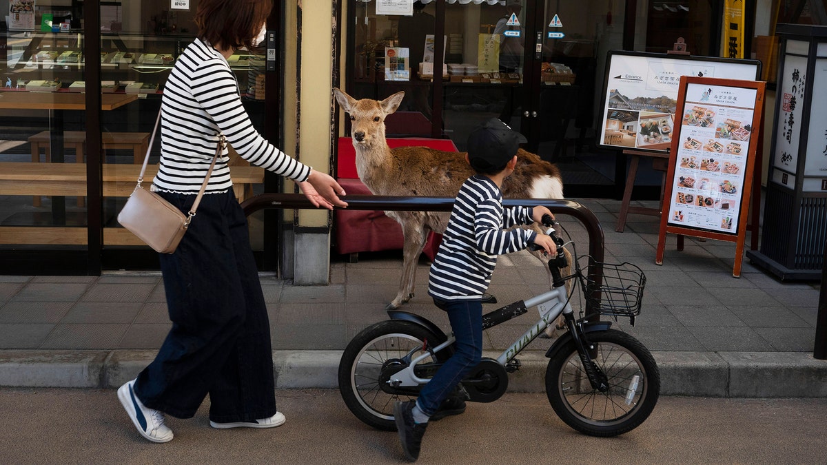 A young boy rides his bike past a deer wandering around the shopping area in Nara, Japan, Thursday, March 19, 2020. (AP Photo/Jae C. Hong)