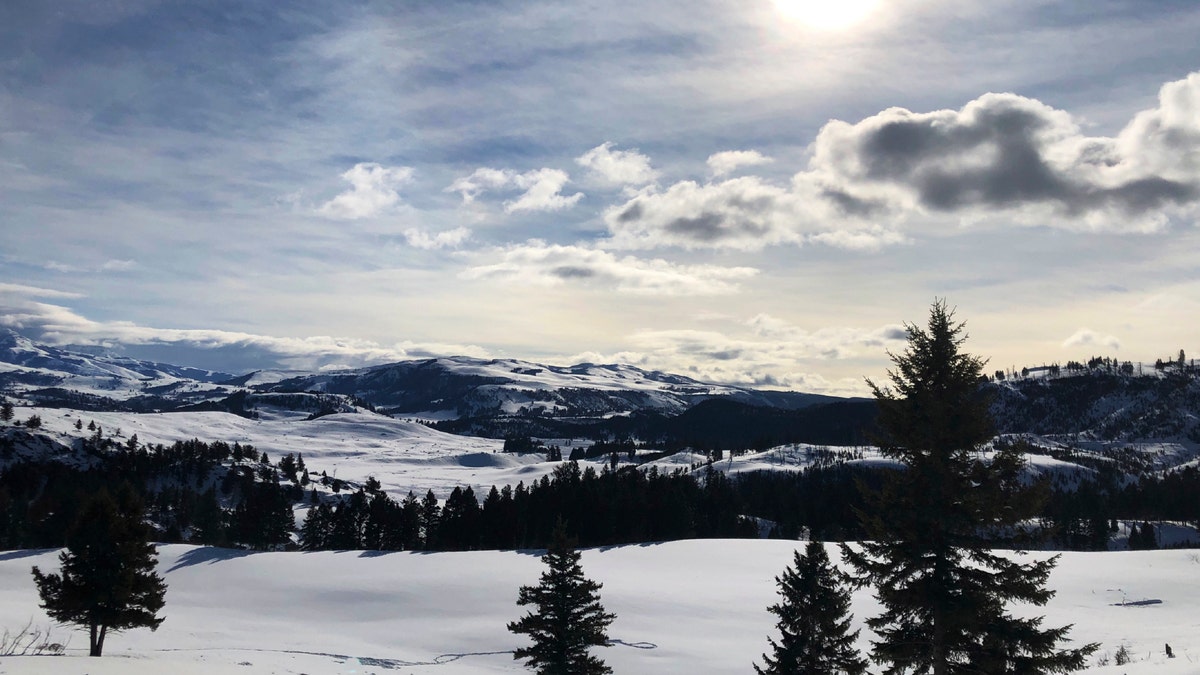 A file photo of Yellowstone National Park's Lamar Valley near Mammoth, Wyo. On March 24, the NPS announced that Yellowstone and Grand Teton National Parks would be closed until further notice, and no visitor access will be permitted to either park. (AP Photo/Matthew Brown)
