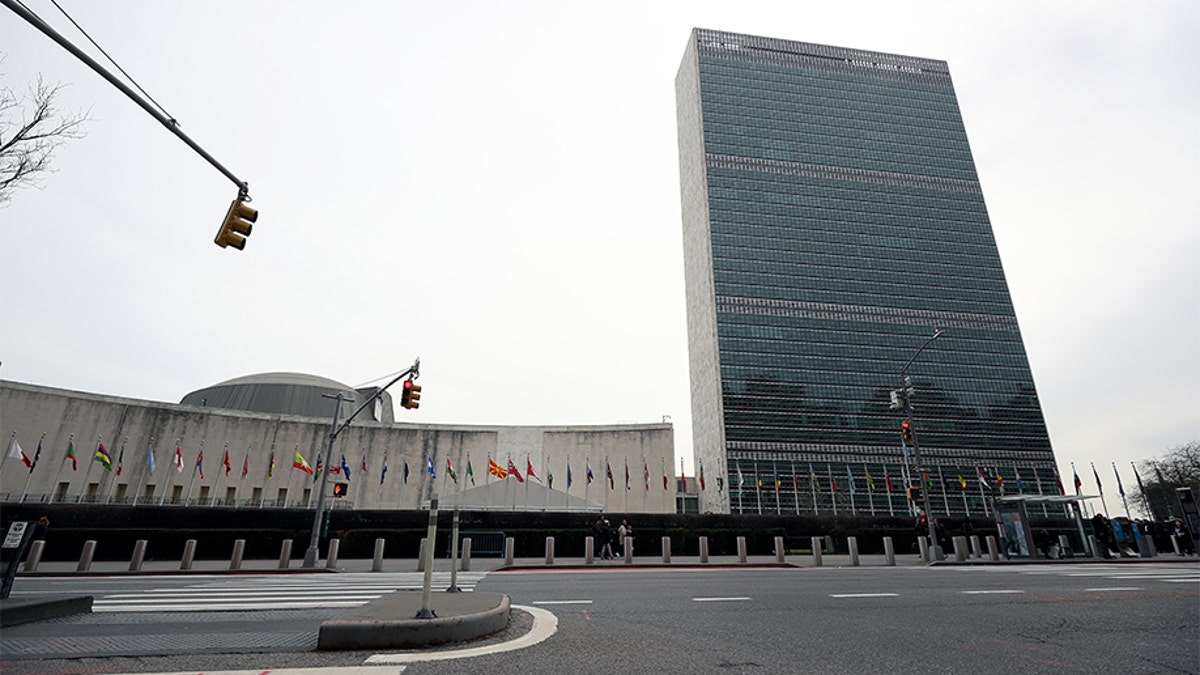 The U.N. is reeling after a video of what appears to be a sex act in an official U.N. car in Israel has gone viral