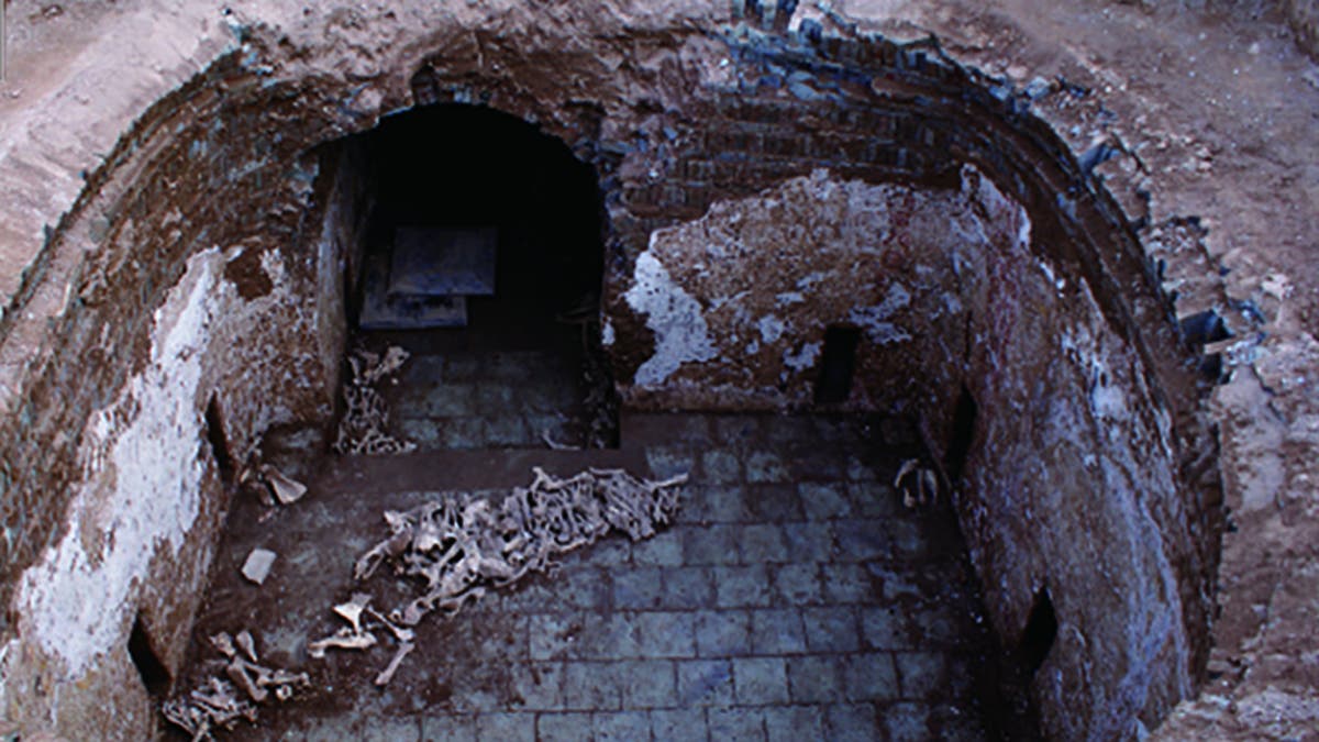 The donkey bones were discovered in Cui Shi’s tomb.
