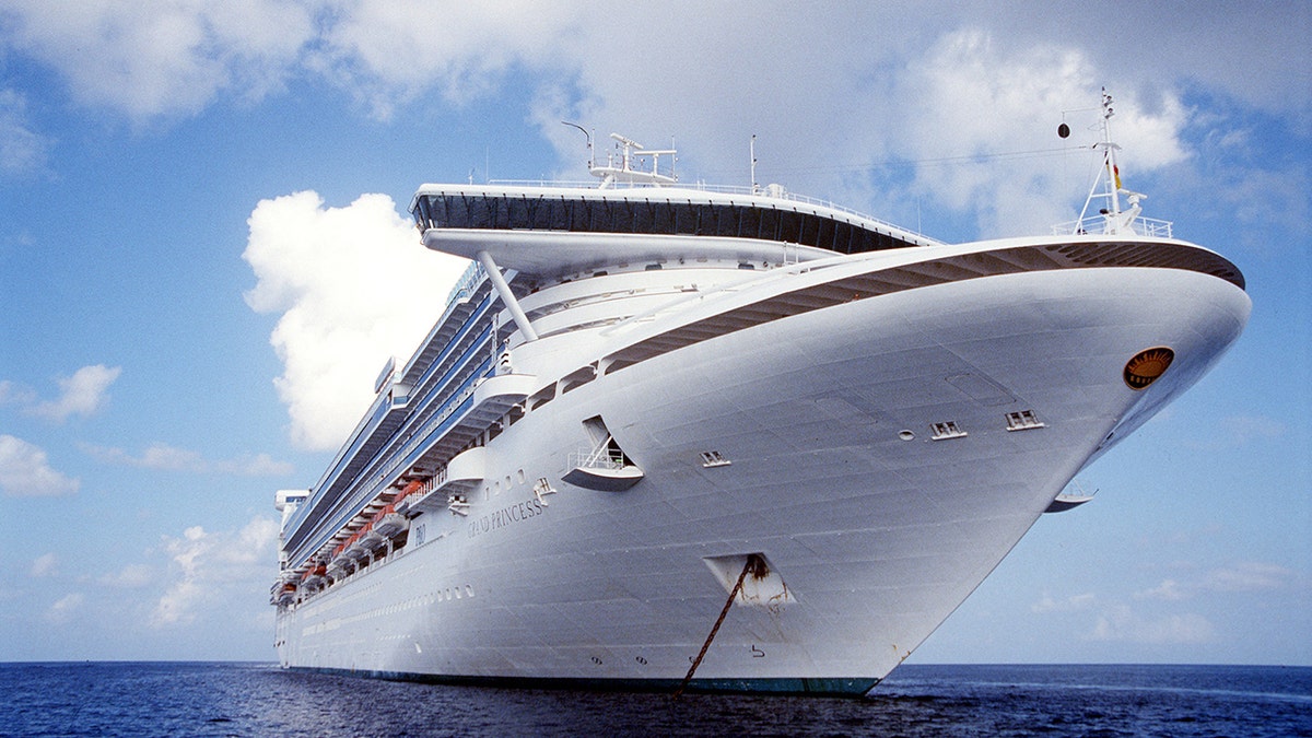 A file image of the Grand Princess. The ship is currently being held offshore near San Francisco due to coronavirus concerns onboard. 