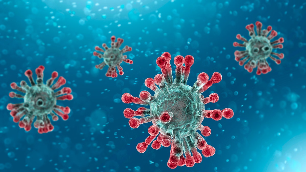 Microscopic view of Coronavirus, a pathogen that attacks the respiratory tract. (Fox News)