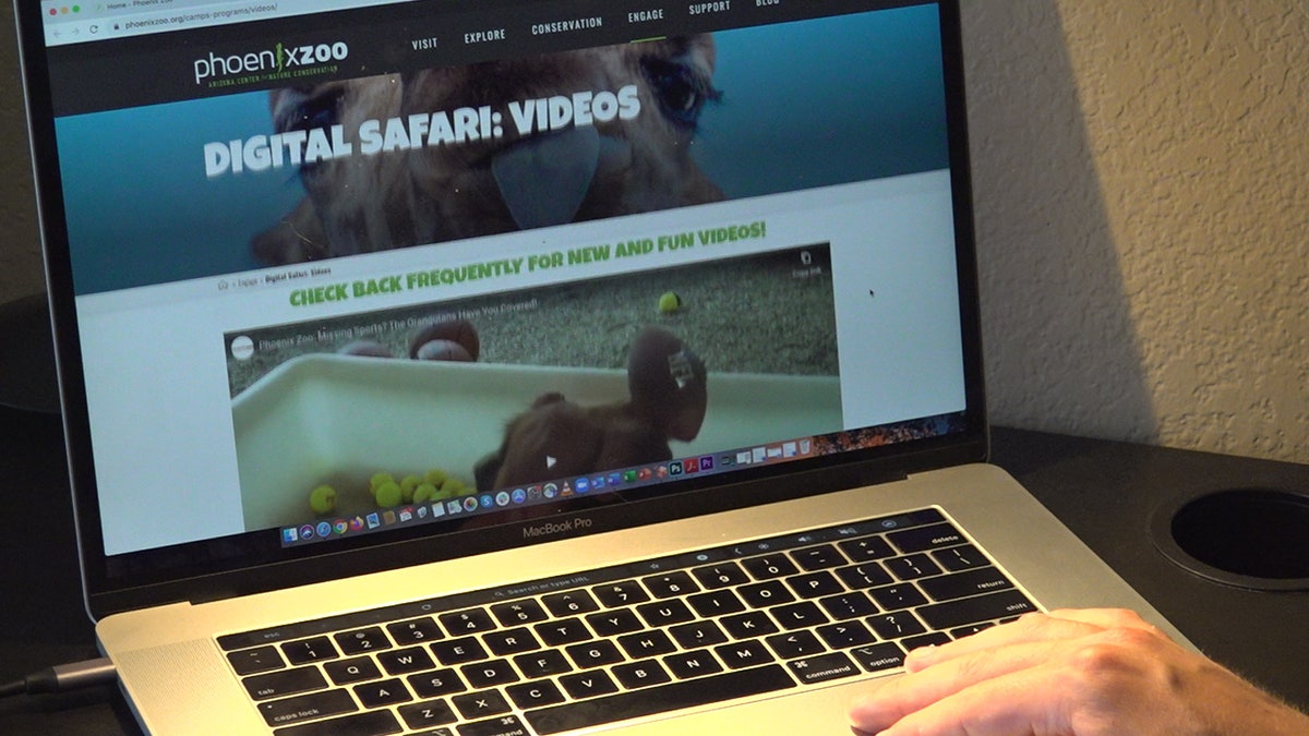 The Phoenix Zoo has turned to the digital world after the Coronavirus forced them to close. Fans across the country are tuning in to their daily live streams, helping raise money and keep operations going (Stephanie Bennett/Fox News).