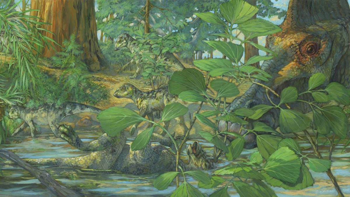 Reconstruction of the nesting ground of Hypacrosaurus stebingeri from the Two Medicine formation of Montana. In the center can be seen a deceased Hypacrosaurus nestling with the back of its skull embedded in shallow waters. A mourning adult is portrayed on the right. (Credit: Michael Rothman, Science China Press)