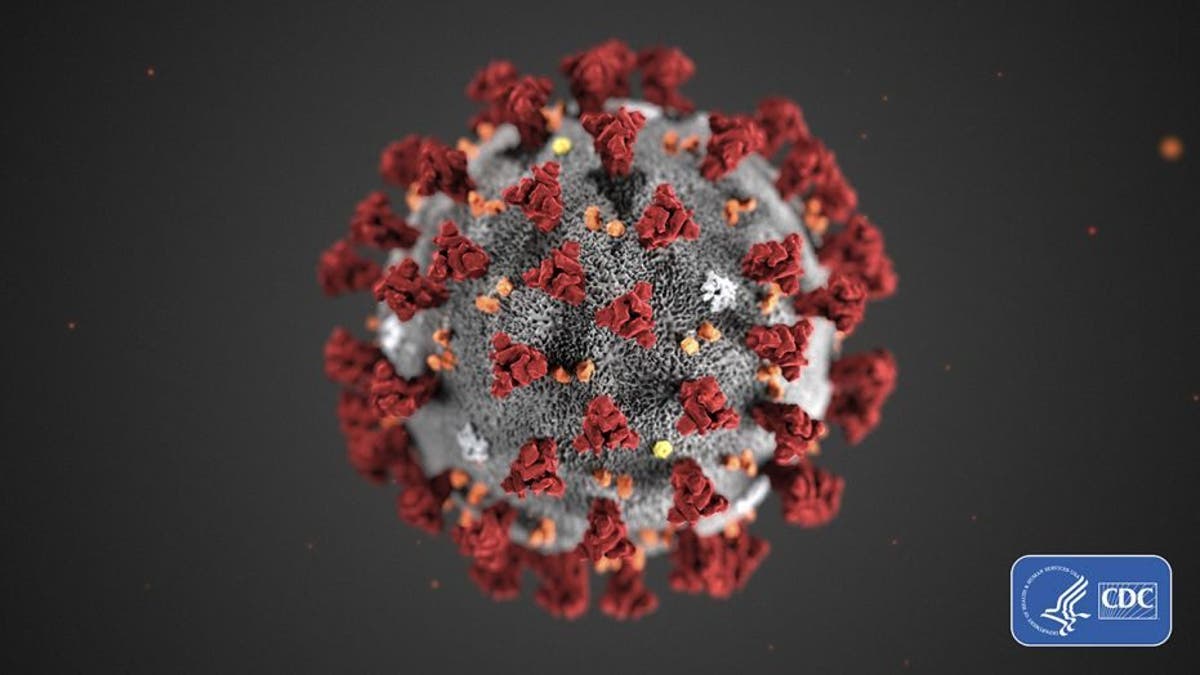 Coronavirus. Courtesy of the CDC