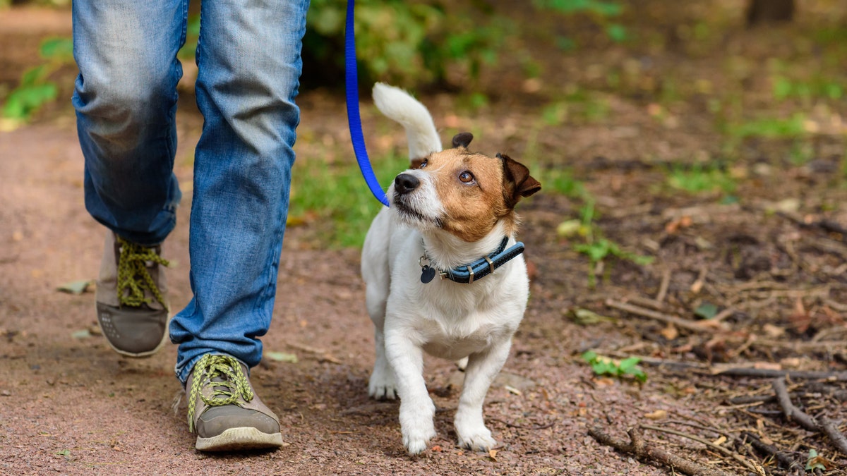 man with dog