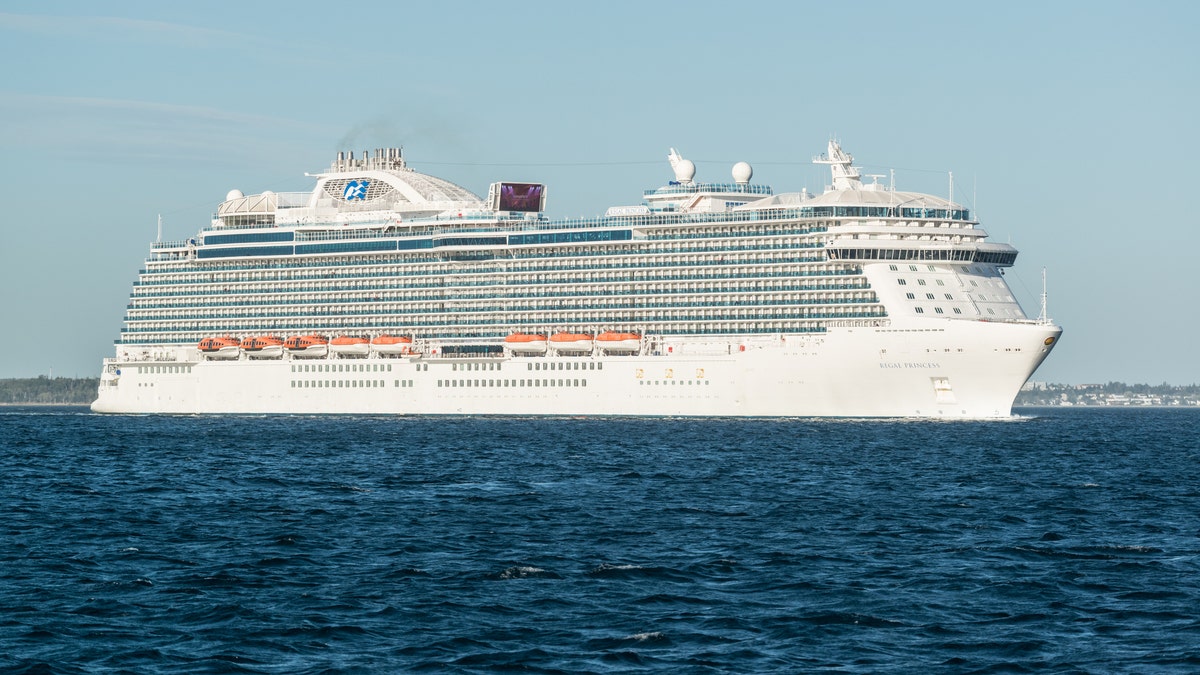 The lawsuit goes on to allege Princess Cruises knew “at least two passengers who disembarked” on Feb. 21 in San Francisco had symptoms.