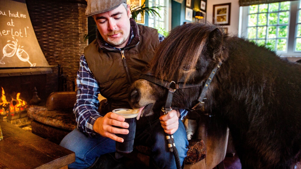 Petrakis started taking Patrick to The Drum Inn in Devonas soon as he got him three months ago.