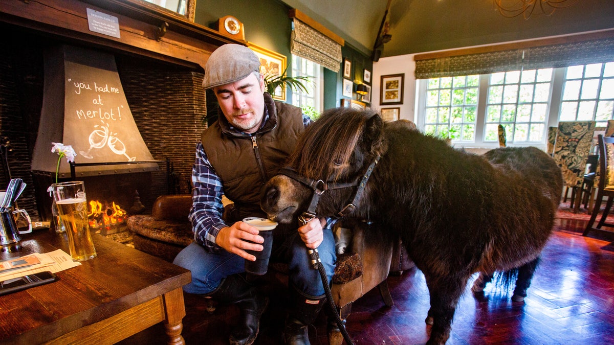 Patrick, who was born on St. Patrick's Day in 2018, will celebrate his second birthday at the pub.