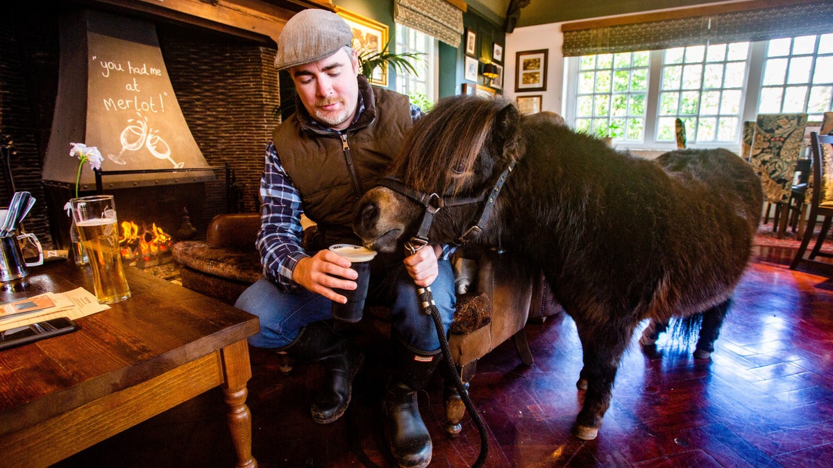 Patrick, who was born on St. Patrick's Day in 2018, will celebrate his second birthday at the pub.