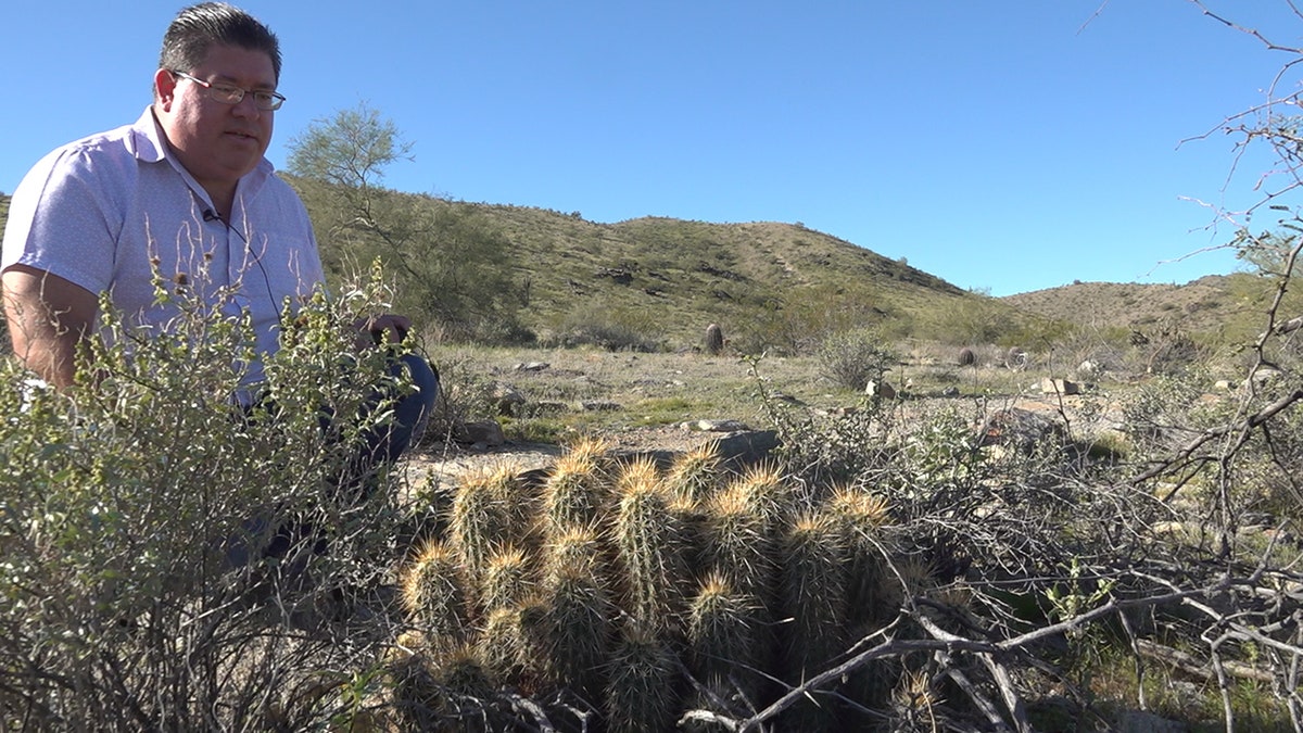 Javier Gurrola is a member of the Central Arizona Cactus and Succulent Society. The club is made up of about 580 strong. They help educate and protect local cactus. (Stephanie Bennett/Fox News).
