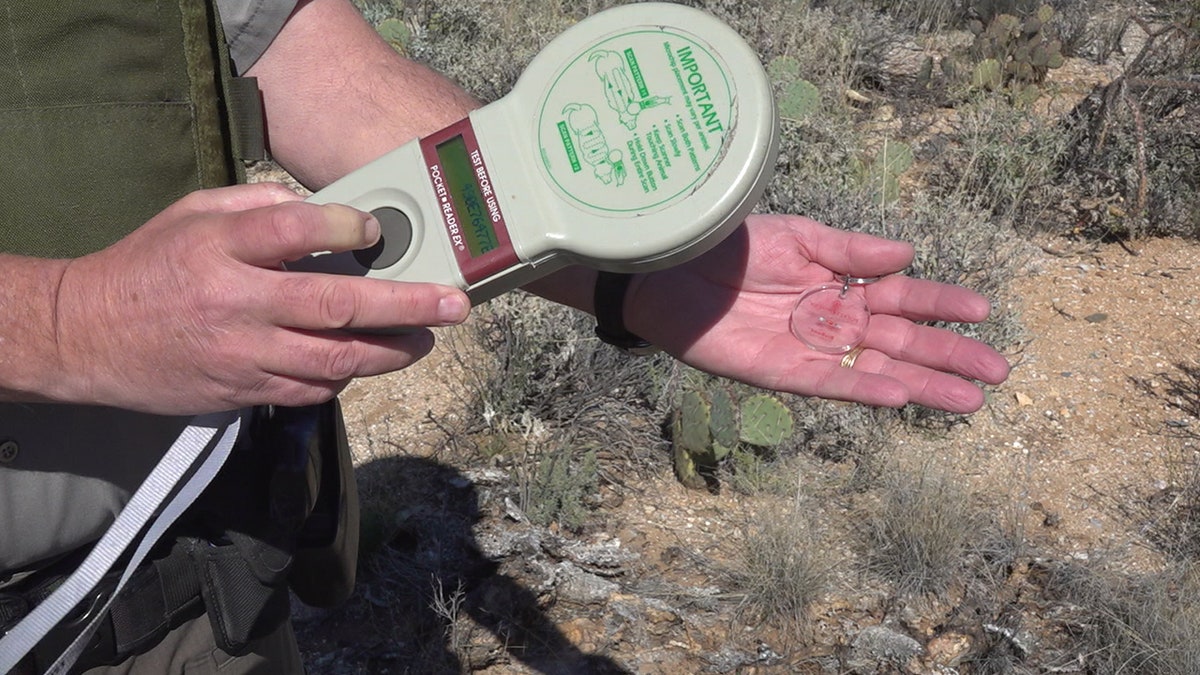 Ten years ago Saguaro National Park started pit tagging some of their most vulnerable cactus. (Stephanie Bennett/Fox News).