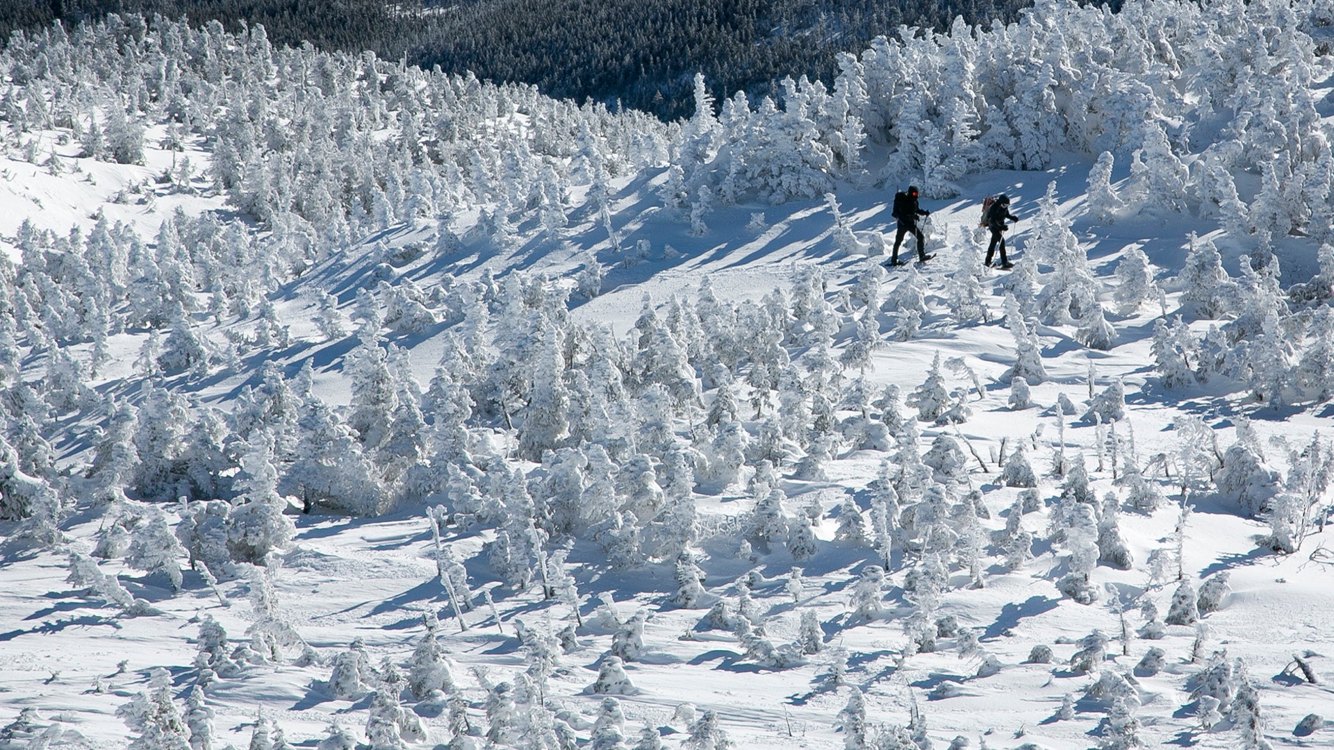 A pair of hikers snowshoe through a forest of rime ice-covered spruce trees on the eastern slope of Mt. Marcy, New York's tallest mountain, near Keene, New York, March 7, 2020.