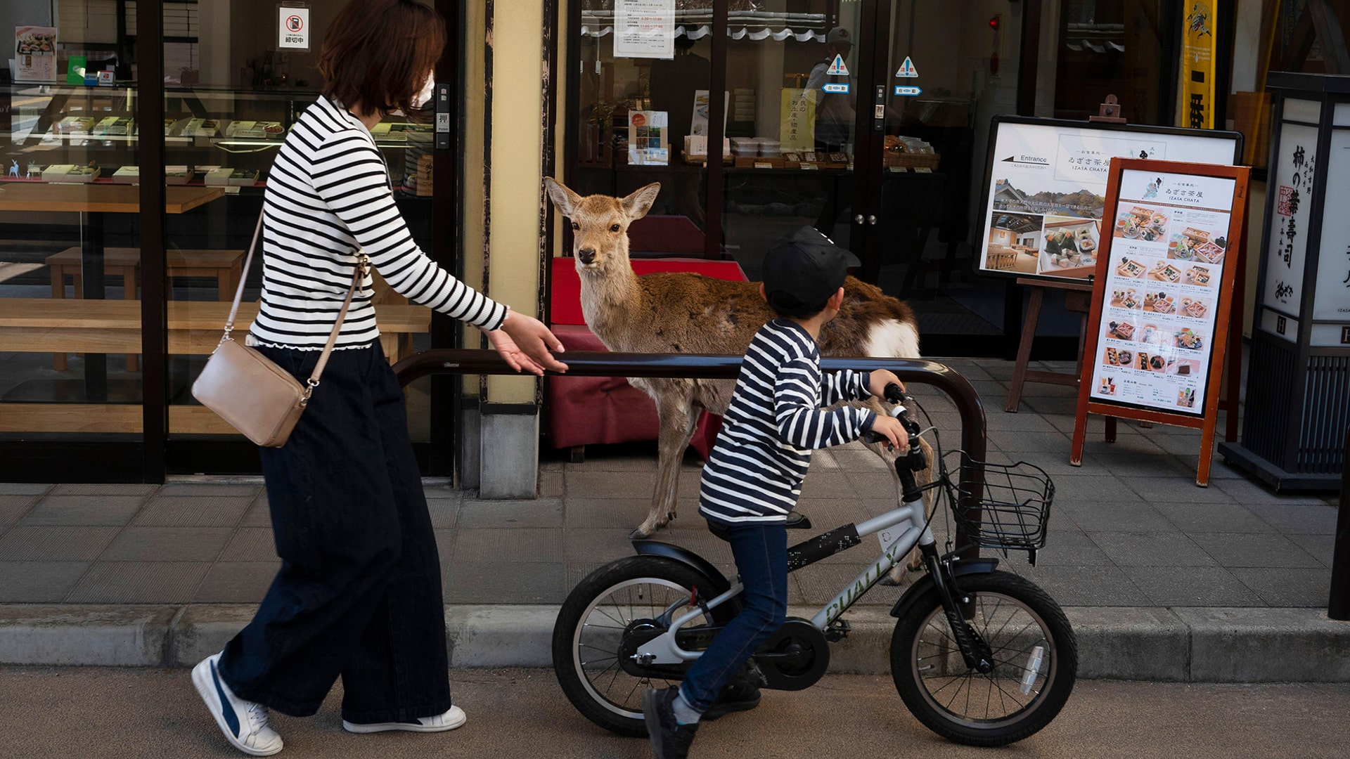 A young boy rides his bike past a deer wandering around the shopping area in Nara, Japan, March 19, 2020. 