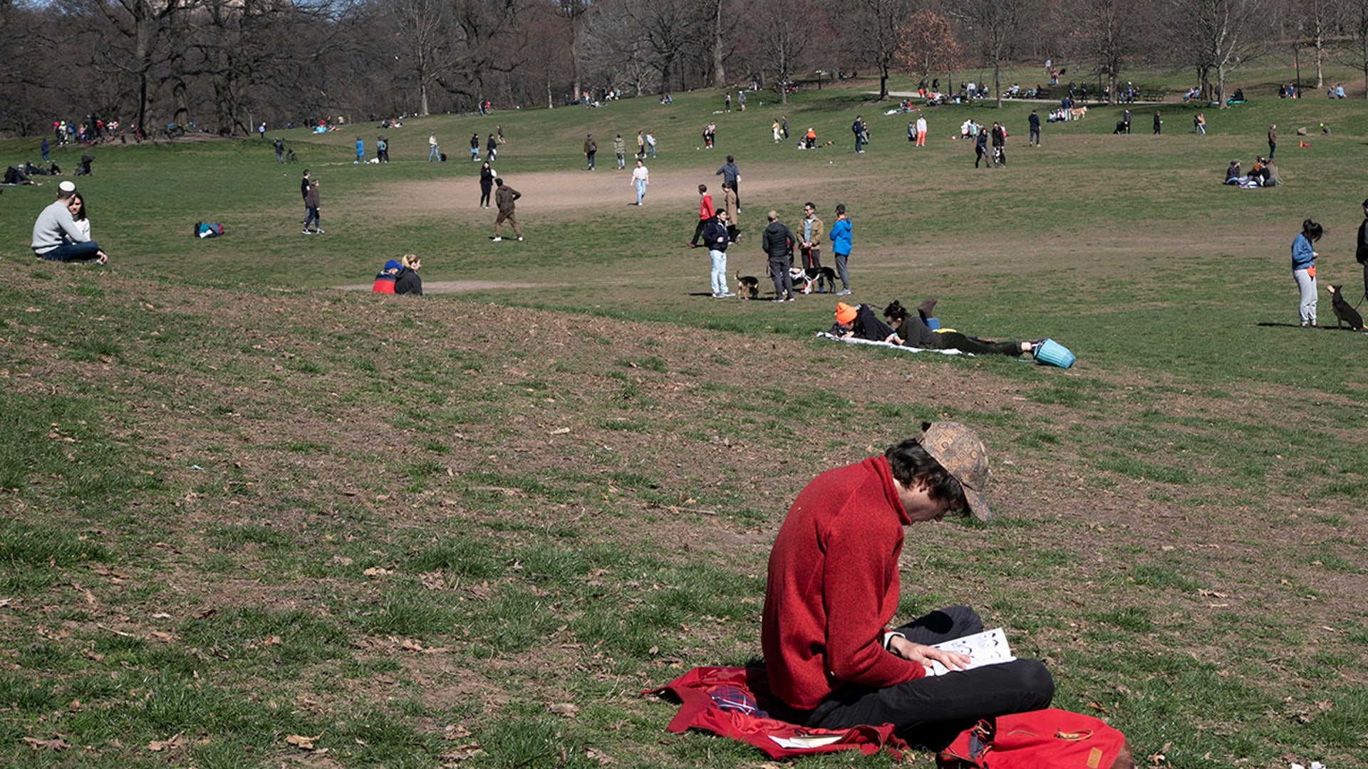 A man reads his book in Prospect Park in the Brooklyn borough of New York on Sunday, March 15, 2020.