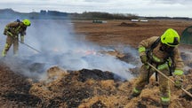 Pig swallows and poops pedometer, sparks farm fire
