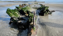 Eerie 19th-century shipwreck reappears on UK beach following storms