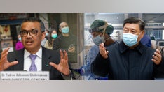 Top coronavirus myths, hoaxes and scams