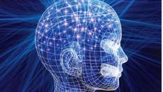 Is Parkinson’s disease, 'world’s fastest growing brain disease,’ mostly preventable? Study offers clues