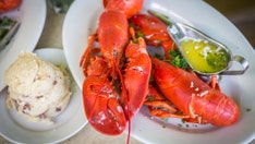 Coronavirus outbreak is sinking lobster prices, reports claim