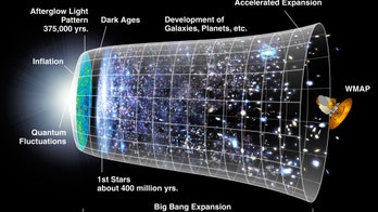 Alien life an almost certainty, expert says