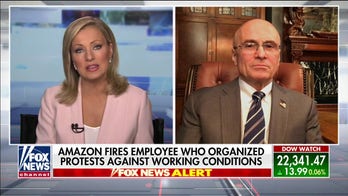 Andy Puzder on employee walkouts at Amazon, Instacart: 'Disaster' if online ordering slows down