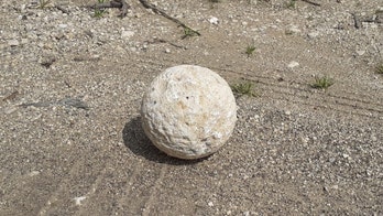 Ancient Roman missile returned by repentant thief concerned about coronavirus 'apocalypse'