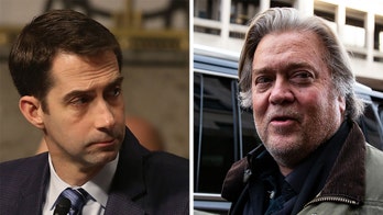 Steve Bannon defends Sen. Tom Cotton's controversial coronavirus origin claim