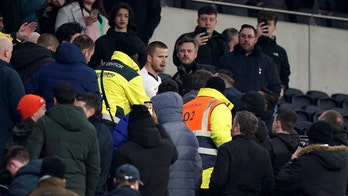 Tottenham midfielder Eric Dier rushes into stands to confront fans