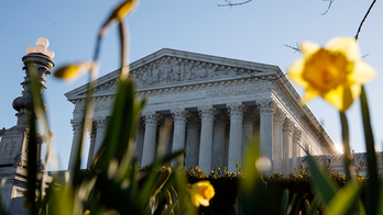 Sound of toilet flushing is thought to be heard during remote Supreme Court oral arguments
