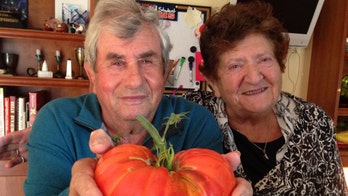 Coronavirus kills elderly Illinois couple hours apart in hospital