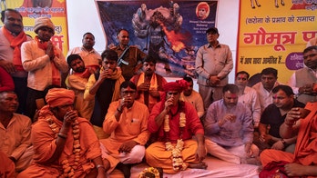 Hindu group in India consumes cow urine to ward off coronavirus