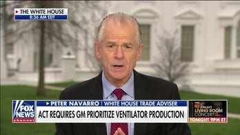 Peter Navarro: Intent on preventing 'bottlenecks' of needed medical supplies, ventilators