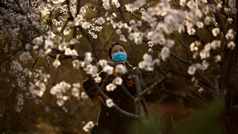 China launches investigation into company behind faulty coronavirus test kits sold to Spain