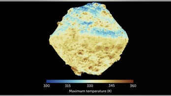 Asteroid Ryugu has texture like 'freeze-dried coffee'