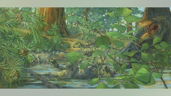 Traces of DNA found in fossilized dinosaur skull, scientists claim