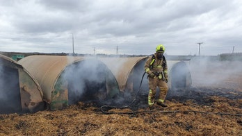 Pig swallows and poops pedometer, sparks farm fire