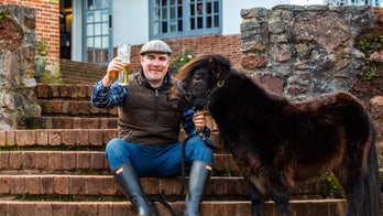 Miniature pony 'devastated' after coronavirus cancels birthday bash, owner claims