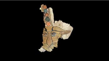 Stunning leopard face reconstructed from ancient Egyptian sarcophagus