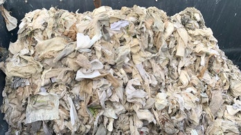 Coronavirus fuels toilet paper buying spree, California officials implore people not to flush t-shirts, wipes