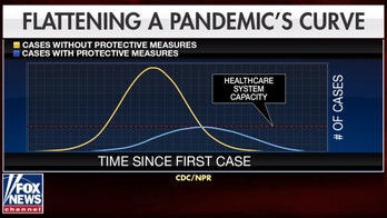 When will coronavirus peak in the US? Dire report shows why 'flattening the curve' matters