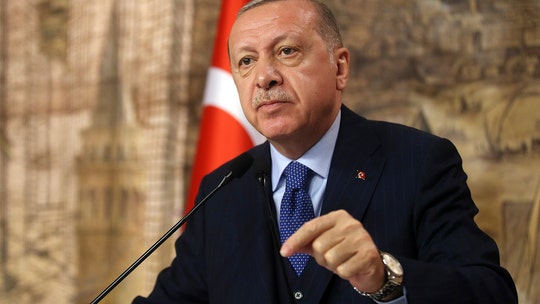 Turkey's Erdogan calls to 'revitalize' relationship with EU amid coronavirus pandemic