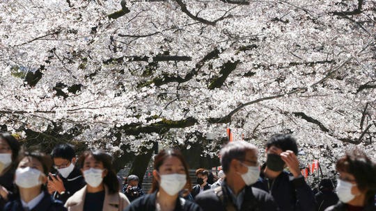 Why Japan appears to have avoided a mass coronavirus outbreak